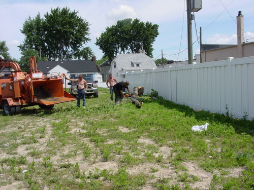 ./Gallery/2011 Bennet Lot Tree Removal/DSC06462.JPG